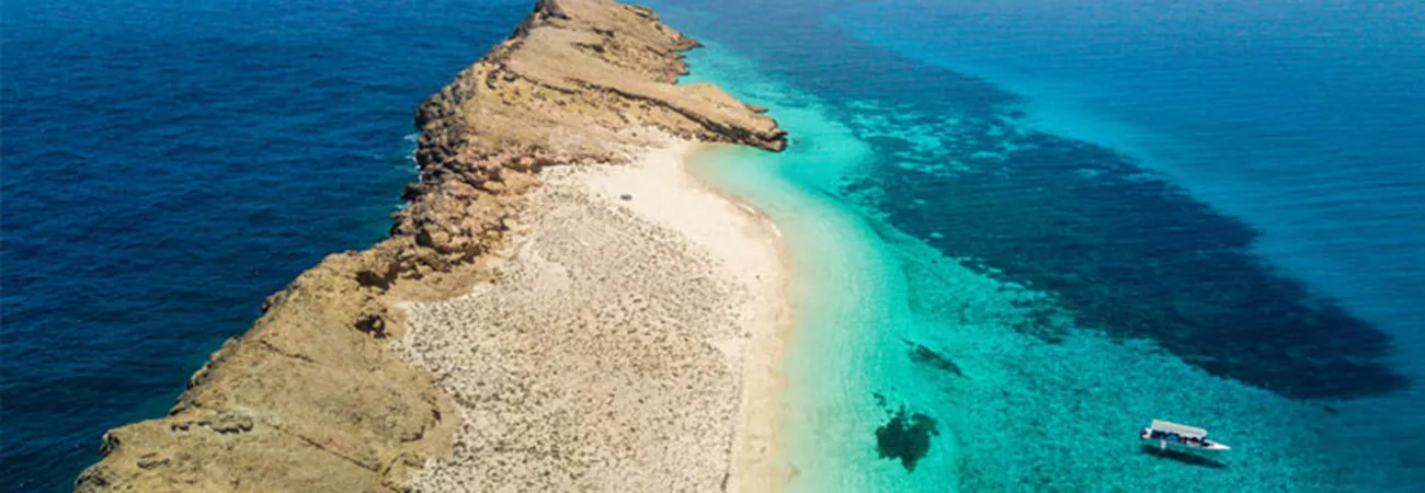 Damaniyat Island Trip