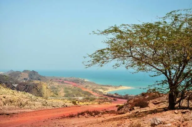 Trekking & Hiking in Bandar Khayran Reserve - Muscat Adventure
