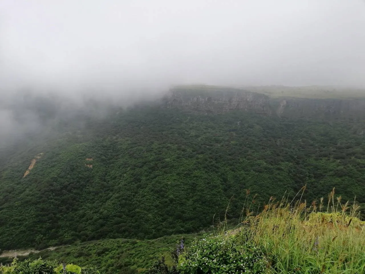 Khareef Salalah Tour: Explore the Monsoon Magic