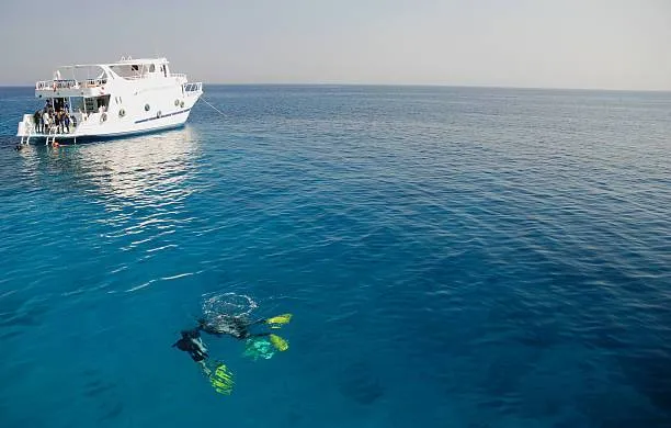 Al-Dimaniyat Islands Nature Reserve Scuba Diving Adventure